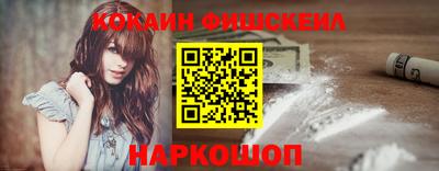 крисы Кулебаки