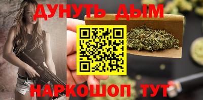 крисы Кулебаки