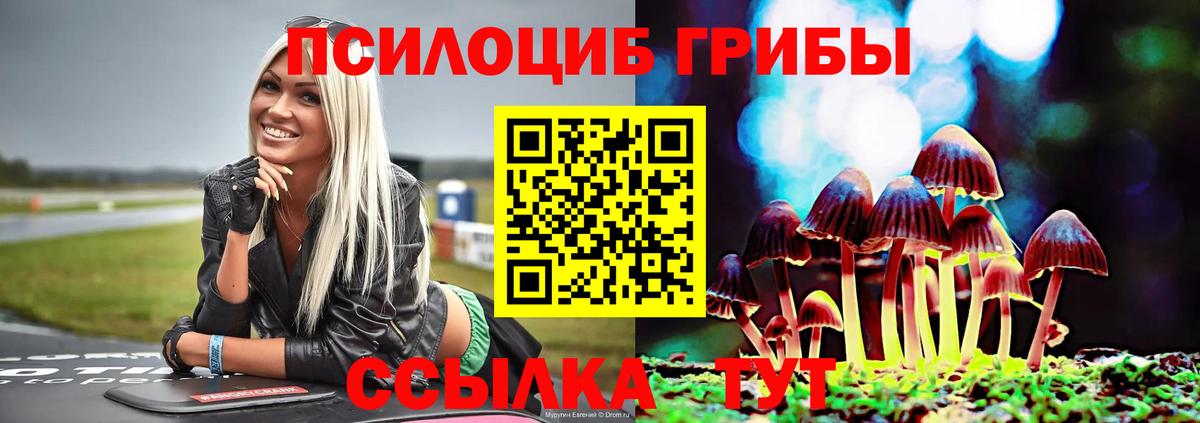 Псилоцибиновые грибы ЛСД Кашира